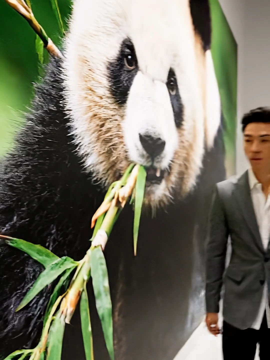 Smartphone Photography Takes Center Stage at China Wildlife Imaging Year